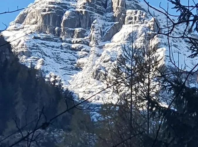 Apartment Pfarrhofbauer